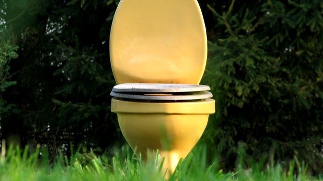ЧТОБЫ УЛИЧНЫЙ ТУАЛЕТ НЕ ВОНЯЛ НАСЫПЬТЕ ЭТО В ДЫРКУ ТУАЛЕТА! ЗАПАХА ТУАЛЕТА БОЛЬШЕ НЕ БУДЕТ!
