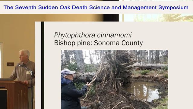 Phytophthora species Associated with Decline and Mortality of Native Vegetation смотреть онлайн
