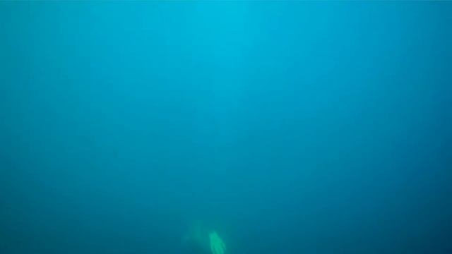 Prestigio RoadRunner 700x Mogren2 смотреть онлайн