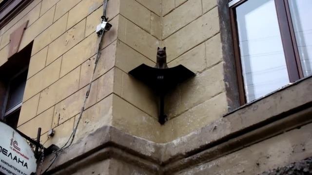 Видео для конкурса