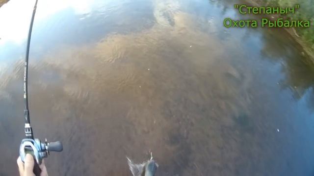 Рыбалка на речке и реке Лена 07 08 20 смотреть онлайн