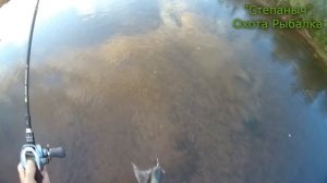 Рыбалка на речке и реке Лена 07 08 20