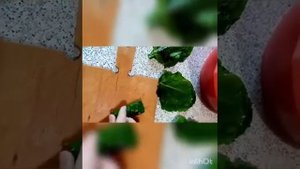 Долма и голубцы из листьев мангольда