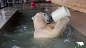 Белый медвежонок открыла купальный сезон