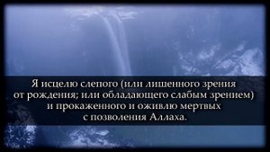 Сура: Аль Имран (33-66) Чтец: Саид Дубаха