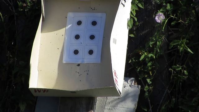 SUHL 312 HAENEL _ ОТКРЫТЫЙ ПРИЦЕЛ _ 50 МЕТРОВ _ СТРЕЛЬБА НА КУЧНОСТЬ смотреть онлайн