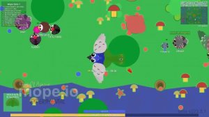 MOPE.IO // #Peacock HYPNOTIZE MOPE // "NEW" BIRD // *NEW* ABILITY // TEASER #61