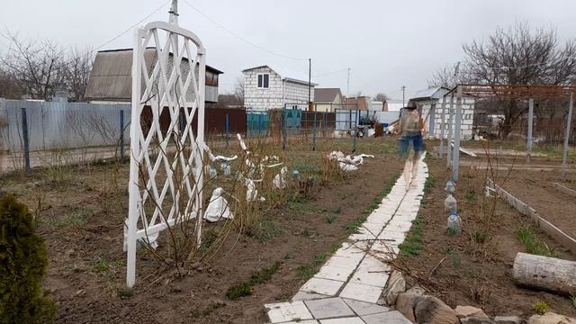 Апрель, жара +32, а мы сажаем смотреть онлайн