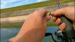 Северо Крымский Канал, Сакская ветка, рыбалка, ловля наноджигом