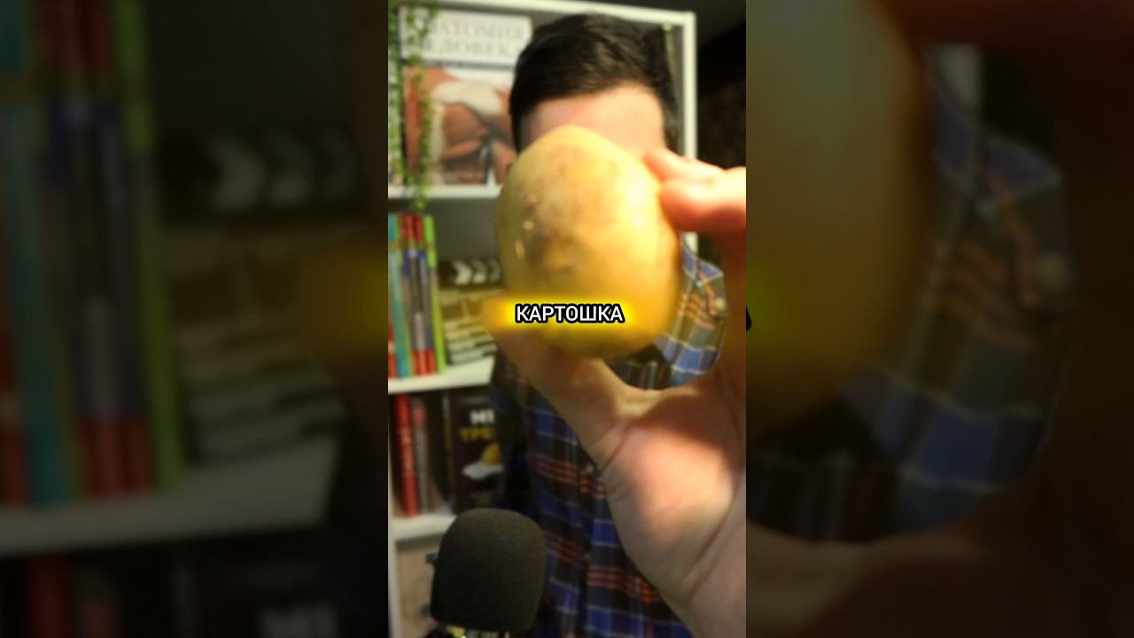 Эксперимент с картошкой #наука #прикол #эксперимент смотреть онлайн