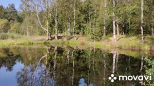 Расторгуев. А река течёт.