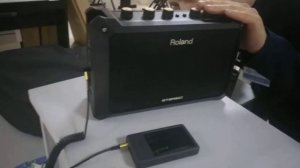 Покупка гитарного усилителя Roland Mobile AC в Музторге