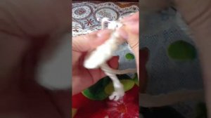 Урок 32, учимся вязать крючком, круглый коврик