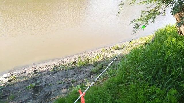 4 июля 2022 г.Карась за 300граммов . г.Омск. р.Омь. смотреть онлайн