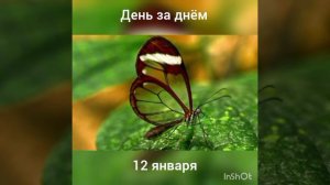 12 января. День за днём