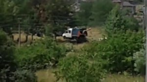 Краснодар. Вырубка деревьев на Николаевском бульваре