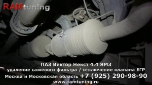 ПАЗ Вектор Некст 4.4 ЯМЗ: удаление сажевого фильтра, отключение клапана ЕГР