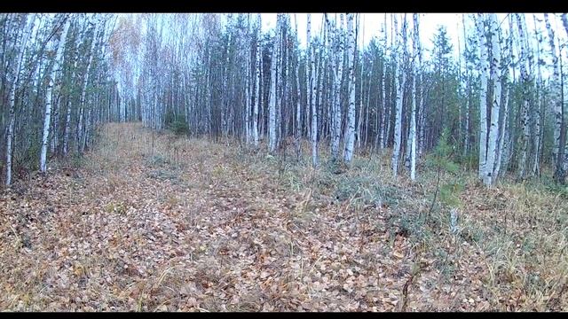 Сказочная охота на глухаря смотреть онлайн