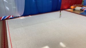 Соревнования по художественной гимнастике 6 лет