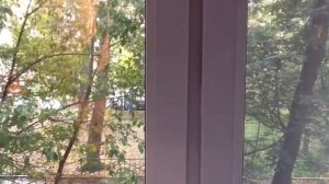 Чистка окон. Подоконник.