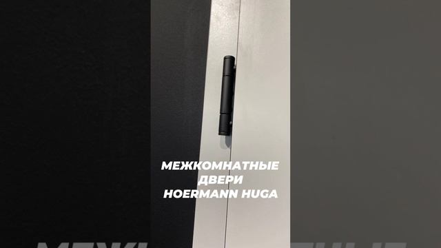 Межкомнатные двери #hormann #huga #вратарь #ворота #двери #kingsgates #гараж #дом #херманн #москва