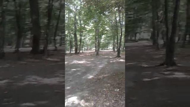 Самурский заповедник