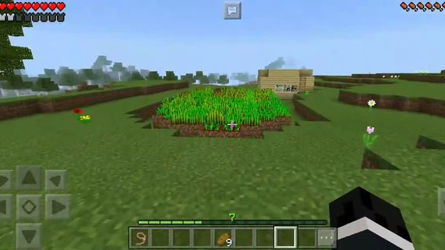 Майнкрафт , я буду торговаться хлебом а то у меня очень большая ферма смотреть онлайн