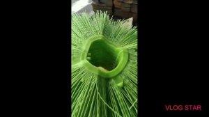 Обзор ПП120х550 Диск беспроставочный щеточный полипропиленовый