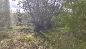 КОЛЬСКИЙ Стрельна и Белое море