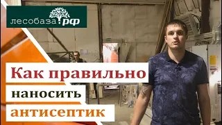 Как правильно наносить антисептик на древесину