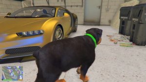 Как Разблокировать Собаку ЧОПА в ГТА 5 Моды! Играем за собаку Франклина в GTA 5 Mods