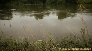Боковой кивок. Успенское. Рыбак Андрей Николаев. Рыбалка на Москве реке. Безмотылка. 12.07.2020.