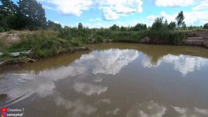 Свой пруд: Зарыбление карпом своего пруда на дачном участке. Корм и кормушки для рыбы в пруду