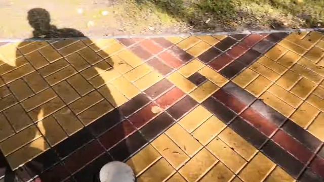 Первый Раз Кормит Голубей, Еще бы Чуть-Чуть... Гуляем, Отличная Осенняя Погода) смотреть онлайн