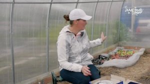 Способ обогреть теплицу из поликарбоната. Прогреваем грунт для самых ранних посадок весной.