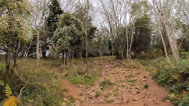 4K Cheddar village in England - Limestone Cheddar Gorge - Cliff Walk - Cheddar Lookout Tower смотреть онлайн