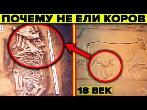 Почему на Руси до 18 века не ели говядину ? Шокирующие факты о которых молчат историки