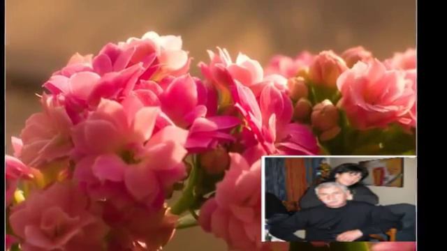 ОФИЦЕРСКАЯ ЖЕНА смотреть онлайн