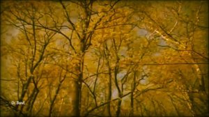 Александр Розенбаум – Блюз Господень @alexander_rozenbaum