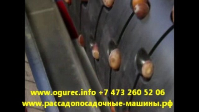сеялка для высева семян в кассеты - сеялка для рассады
