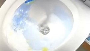 Шесть причин, почему вы НЕ ДОЛЖНЫ СМЫВАТЬ УНИТАЗ после того, как «помочились»!