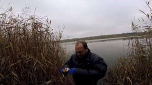 Встреча товарищей,ловля спиннингом с берега Осень