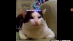 415 база ответьте