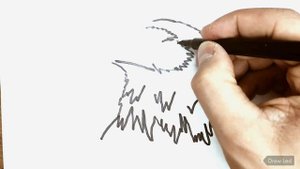 How to draw an Eagle | Как нарисовать Орла