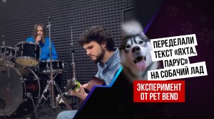 Валентин Стрыкало "Яхта, парус" cover by PET BAND