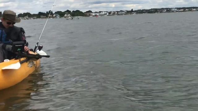 Guided Kayak Fishing Trip смотреть онлайн