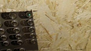 Лифты OTIS Gen2 2019 г.в., Q-1000-630-400 кг, V=1,6 м/с @ Ул. Брестская, д. 3, п. 1 (ЖК "Лето")