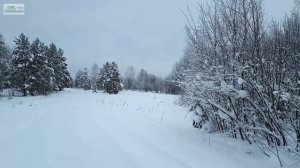 Зимняя красота Костромской области