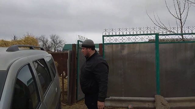 Чернолес