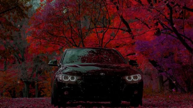 Многоточие | Дыши - взгляни на небо | Music in the car смотреть онлайн